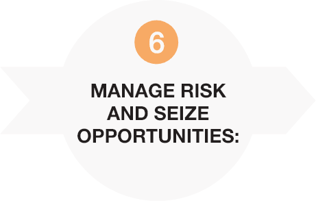 manage risk and seize opportunities