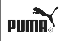 puma puma